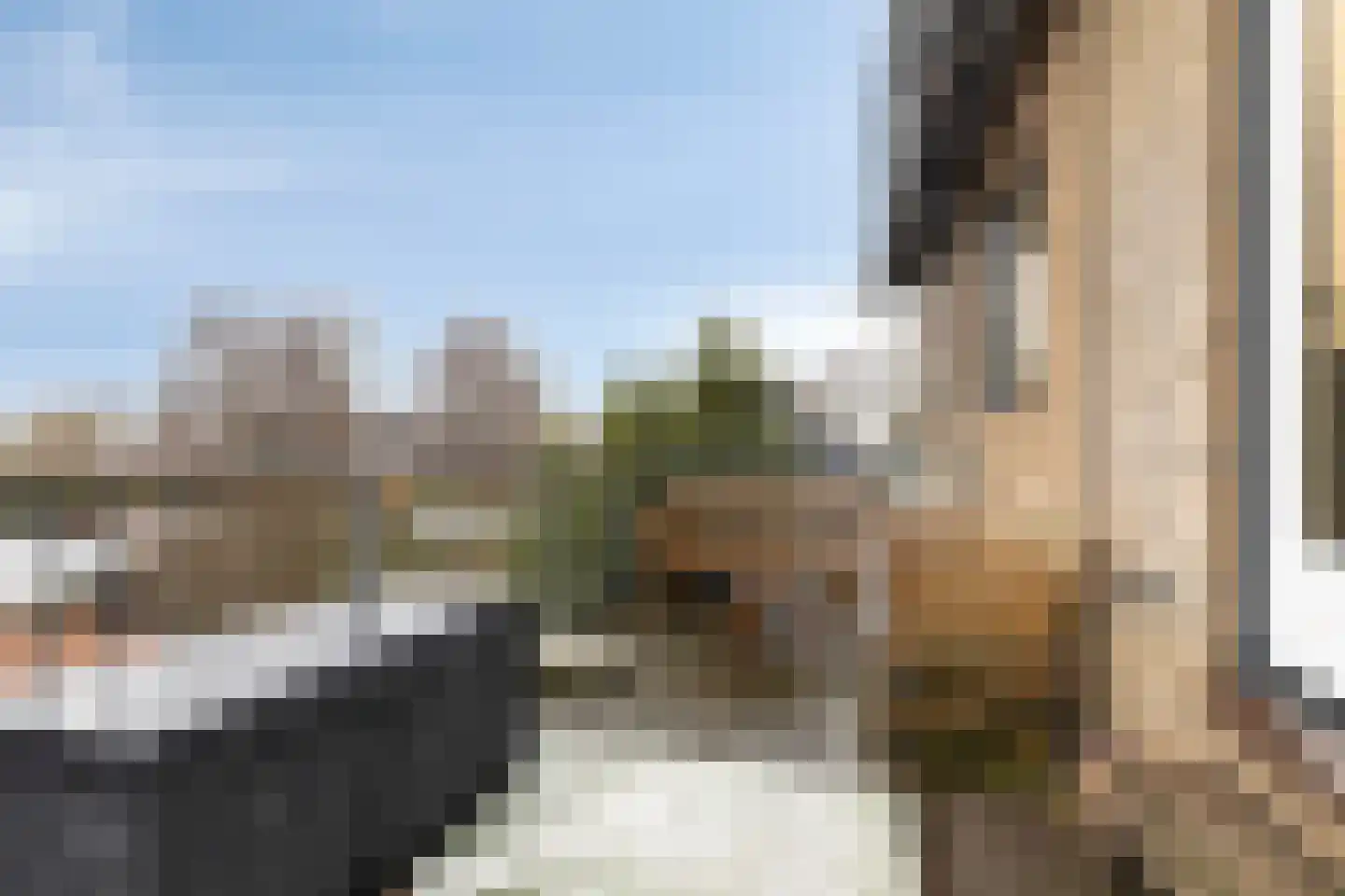 Ringdijk 15 De Kwakel thumbnail 31