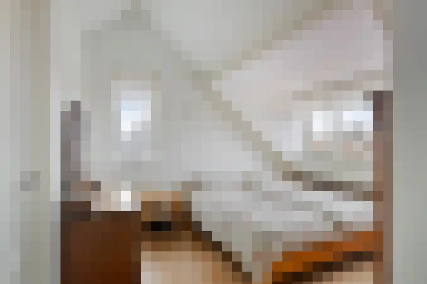 Ringdijk 15 De Kwakel thumbnail 34