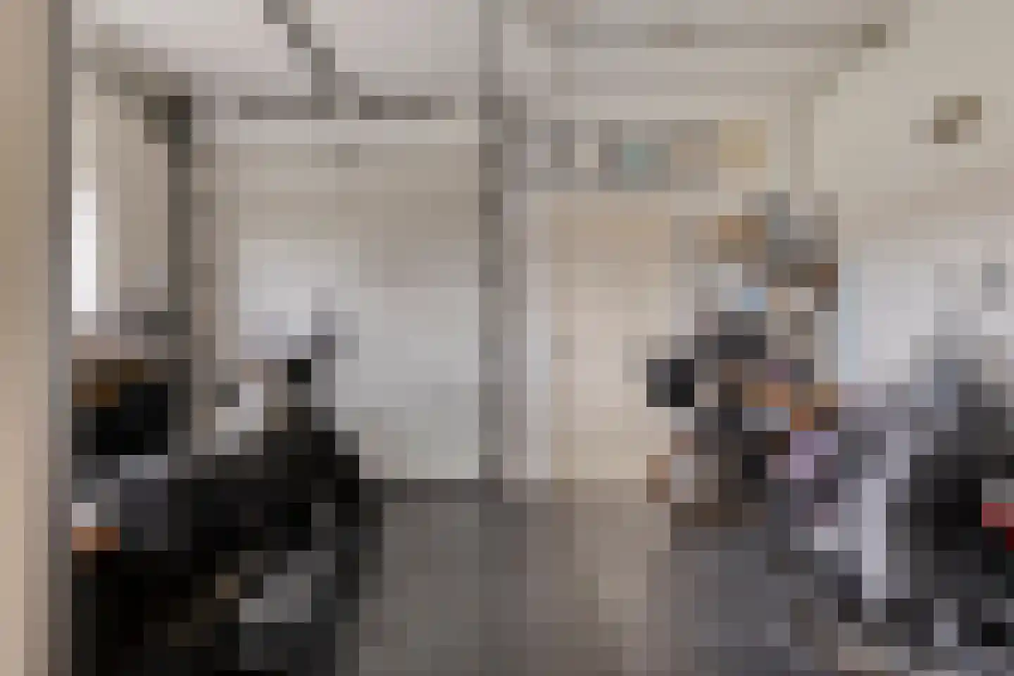 Ringdijk 15 De Kwakel thumbnail 4