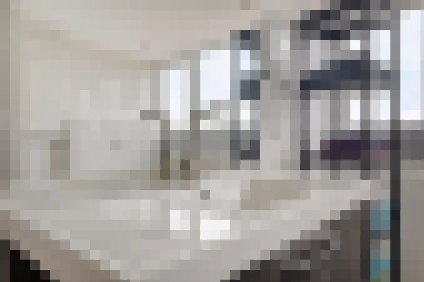 Ringdijk 15 De Kwakel thumbnail 42