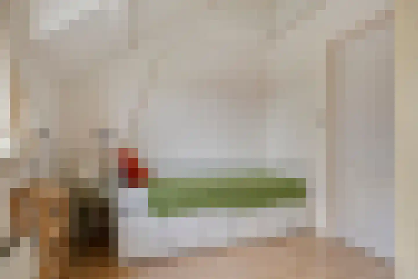 Ringdijk 15 De Kwakel thumbnail 45