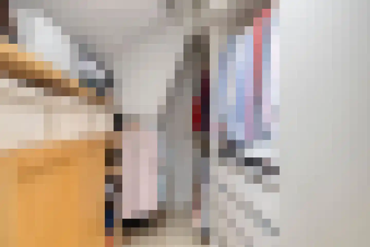 Ringdijk 15 De Kwakel thumbnail 48