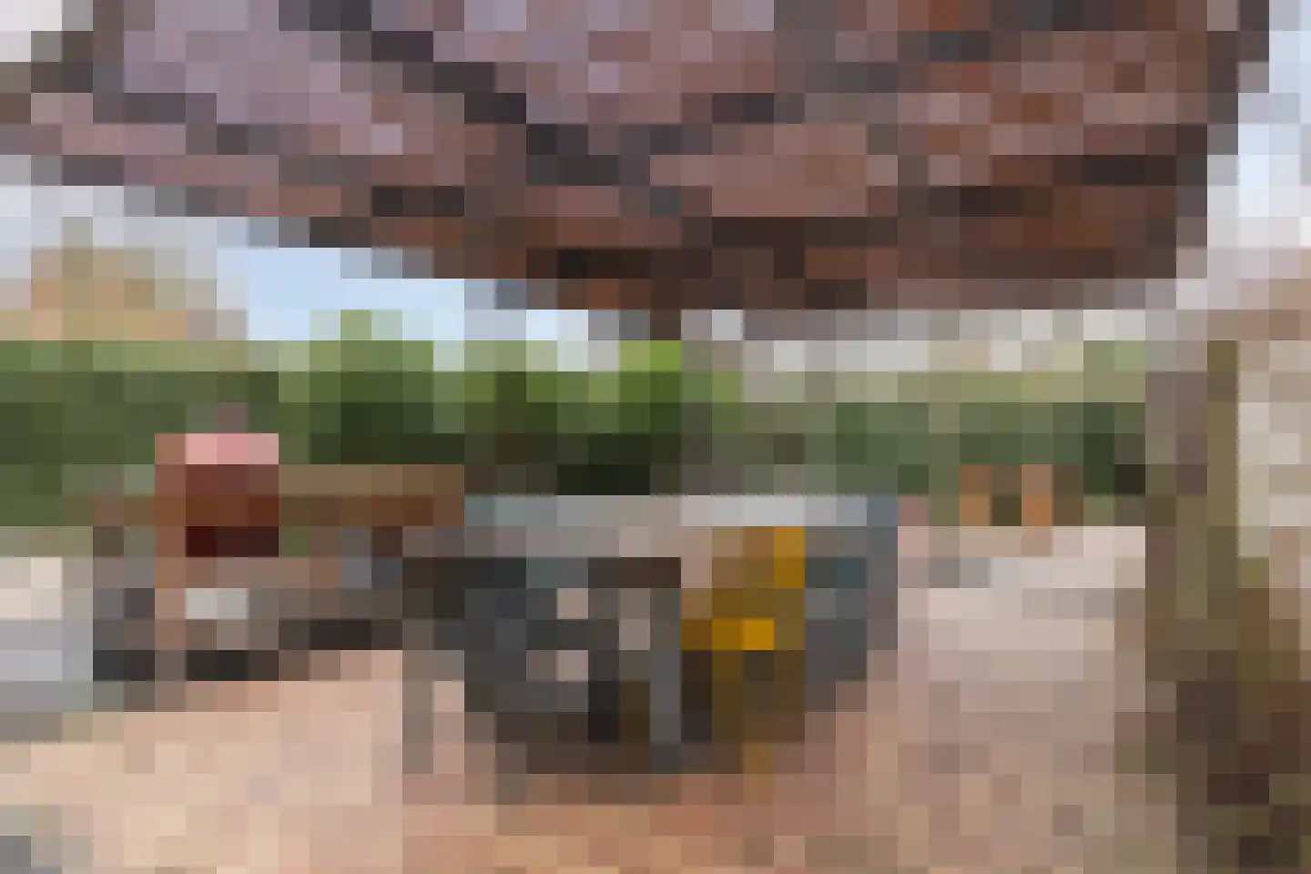 Ringdijk 15 De Kwakel thumbnail 59