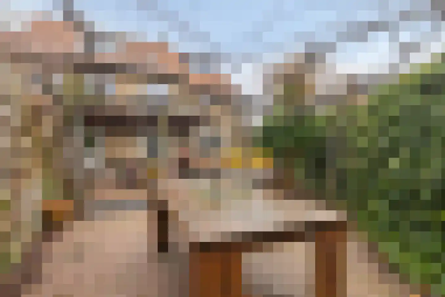 Ringdijk 15 De Kwakel thumbnail 62