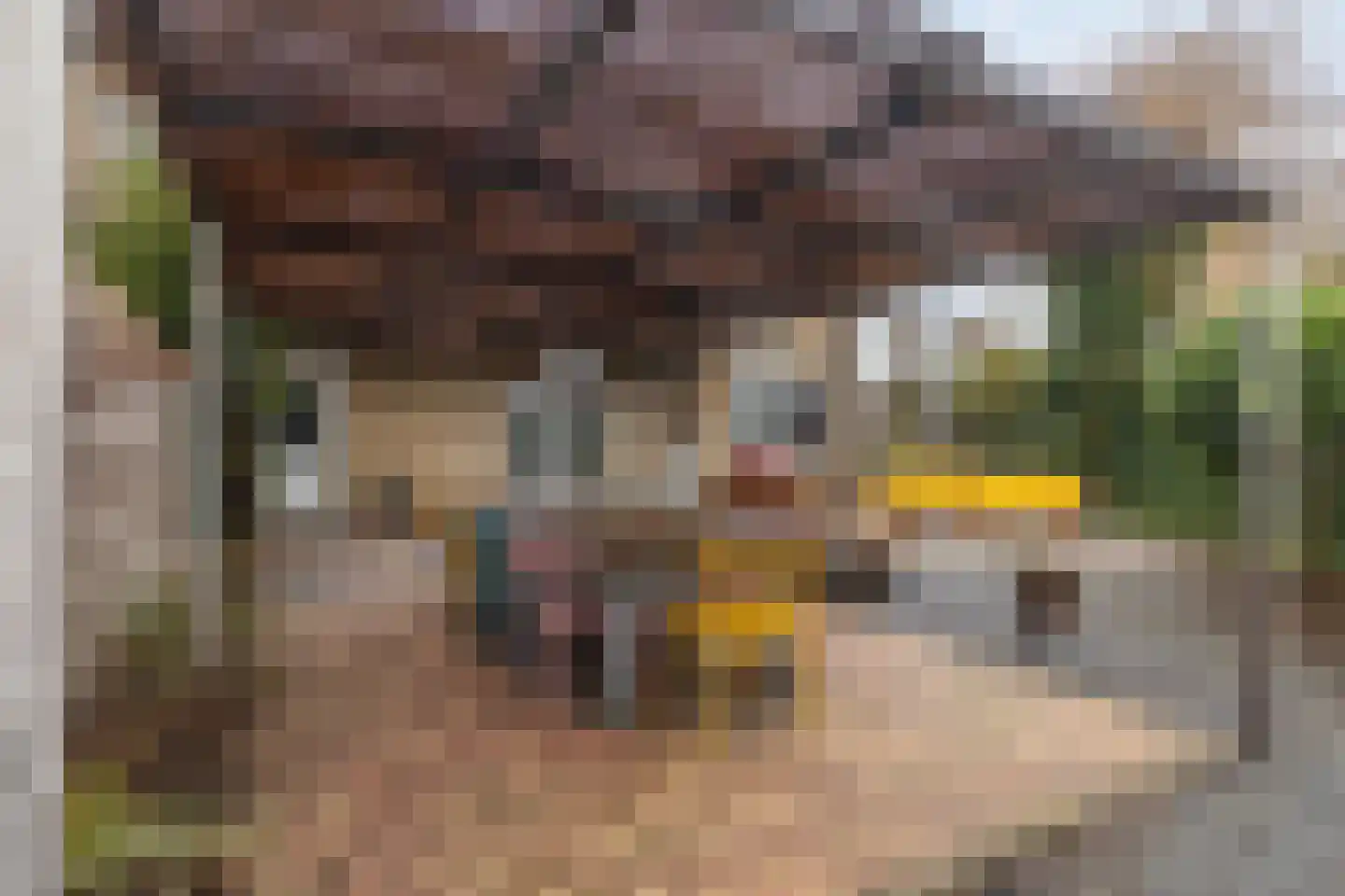 Ringdijk 15 De Kwakel thumbnail 63