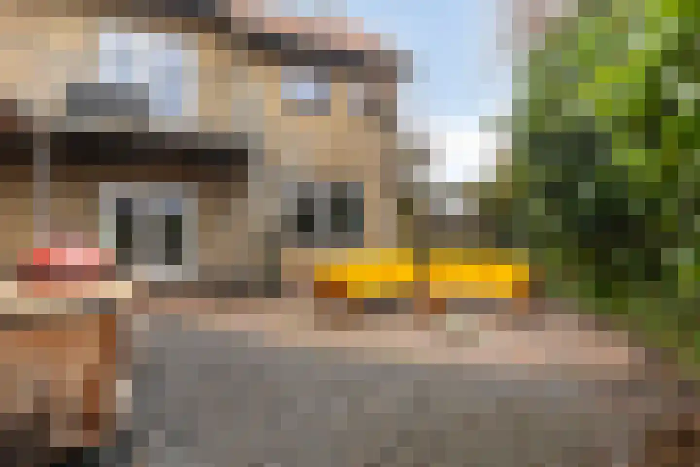 Ringdijk 15 De Kwakel thumbnail 64