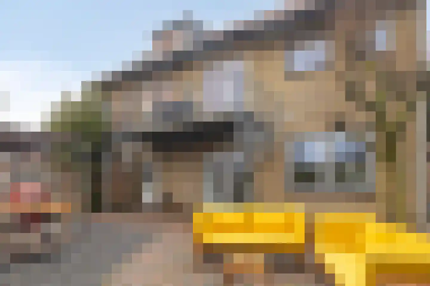 Ringdijk 15 De Kwakel thumbnail 65
