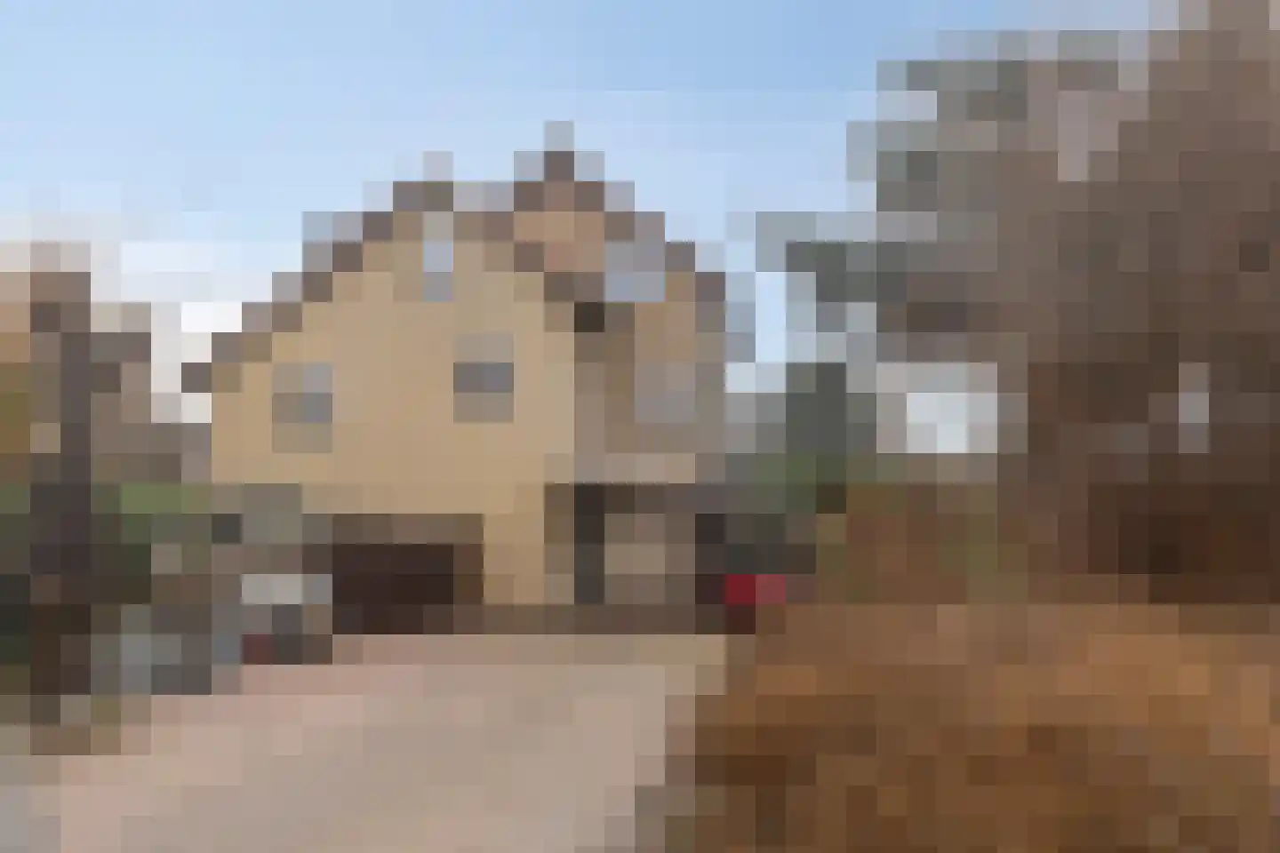 Ringdijk 15 De Kwakel thumbnail 66