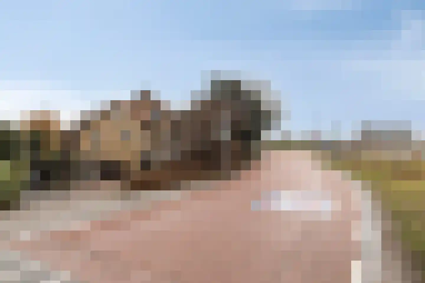 Ringdijk 15 De Kwakel thumbnail 67
