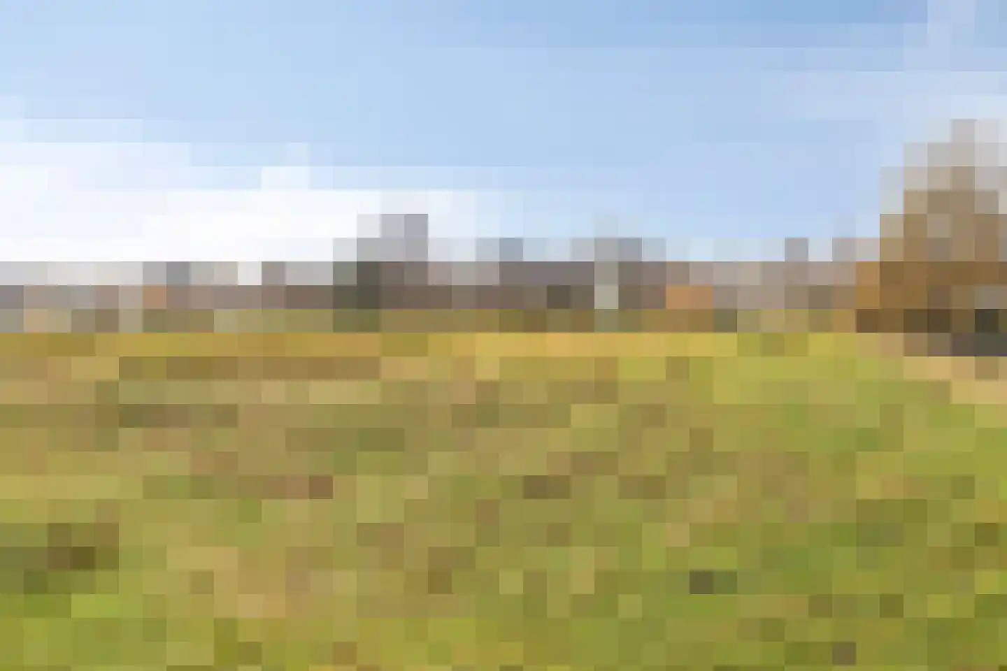 Ringdijk 15 De Kwakel thumbnail 68