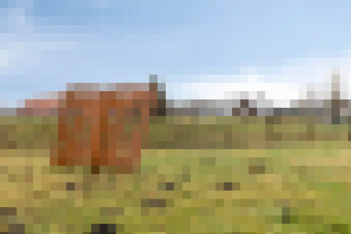 Ringdijk 15 De Kwakel thumbnail 69