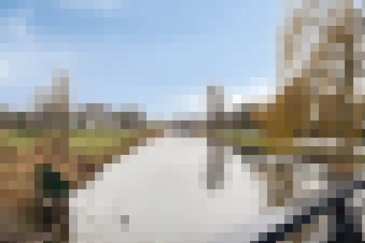 Ringdijk 15 De Kwakel thumbnail 70