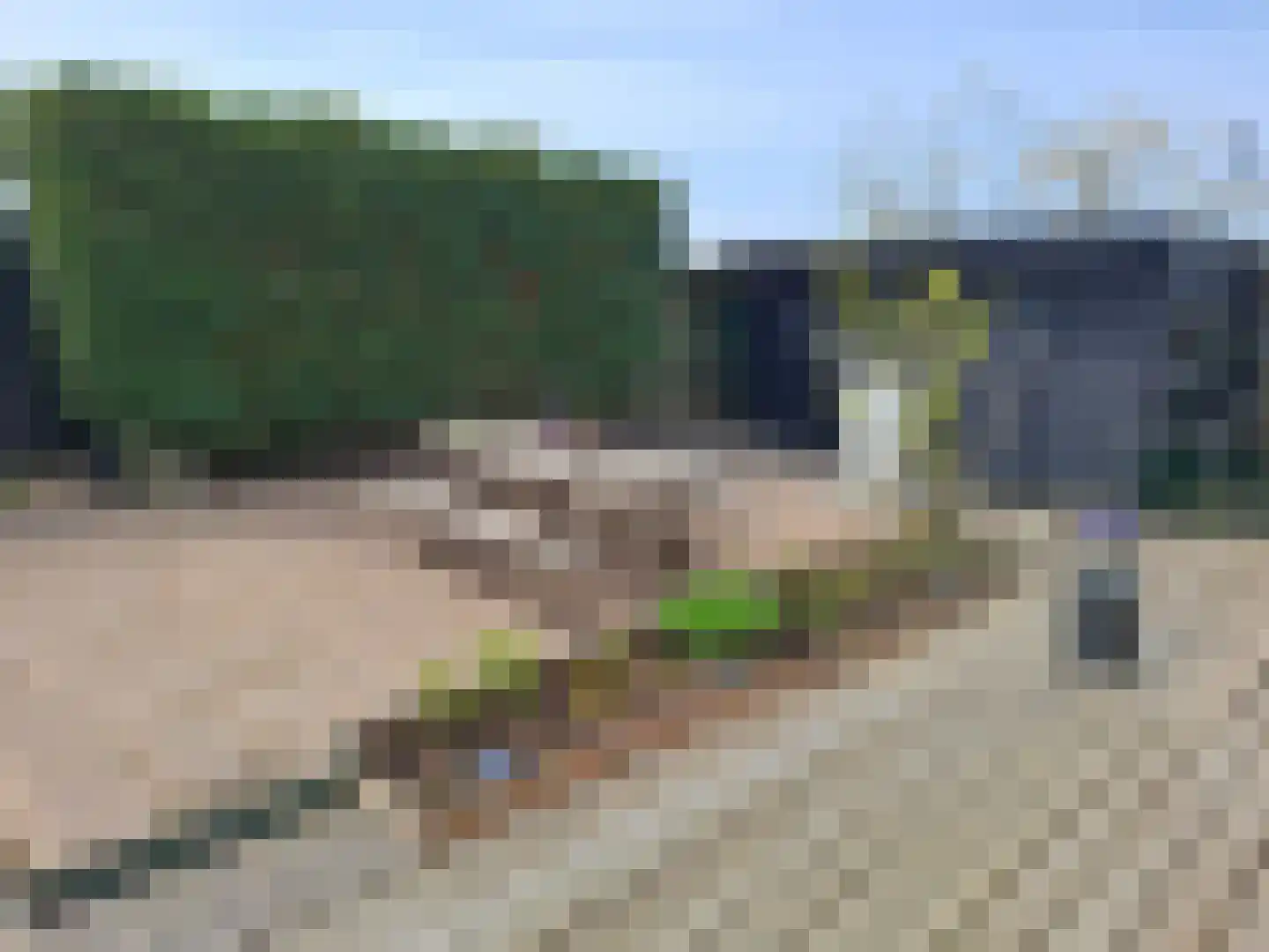 Ringdijk 18 AR Wijdewormer thumbnail 7