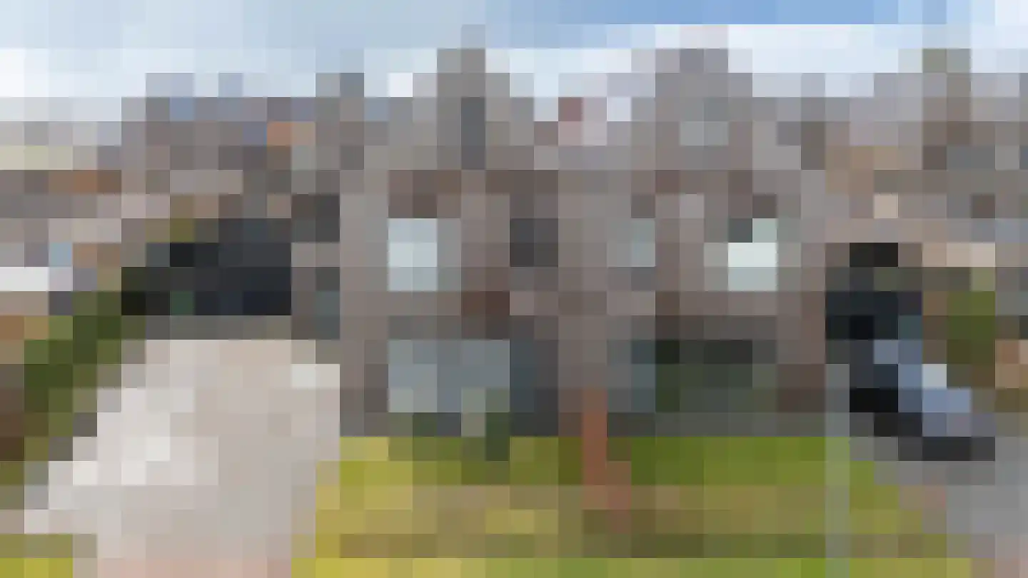 Ringdijk 19 Meerstad thumbnail 12