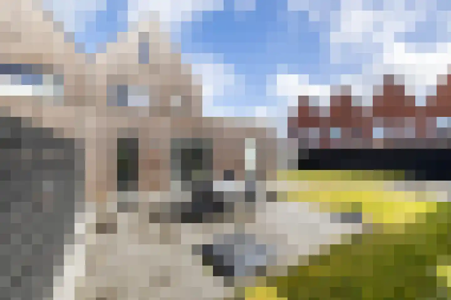 Ringdijk 19 Meerstad thumbnail 18