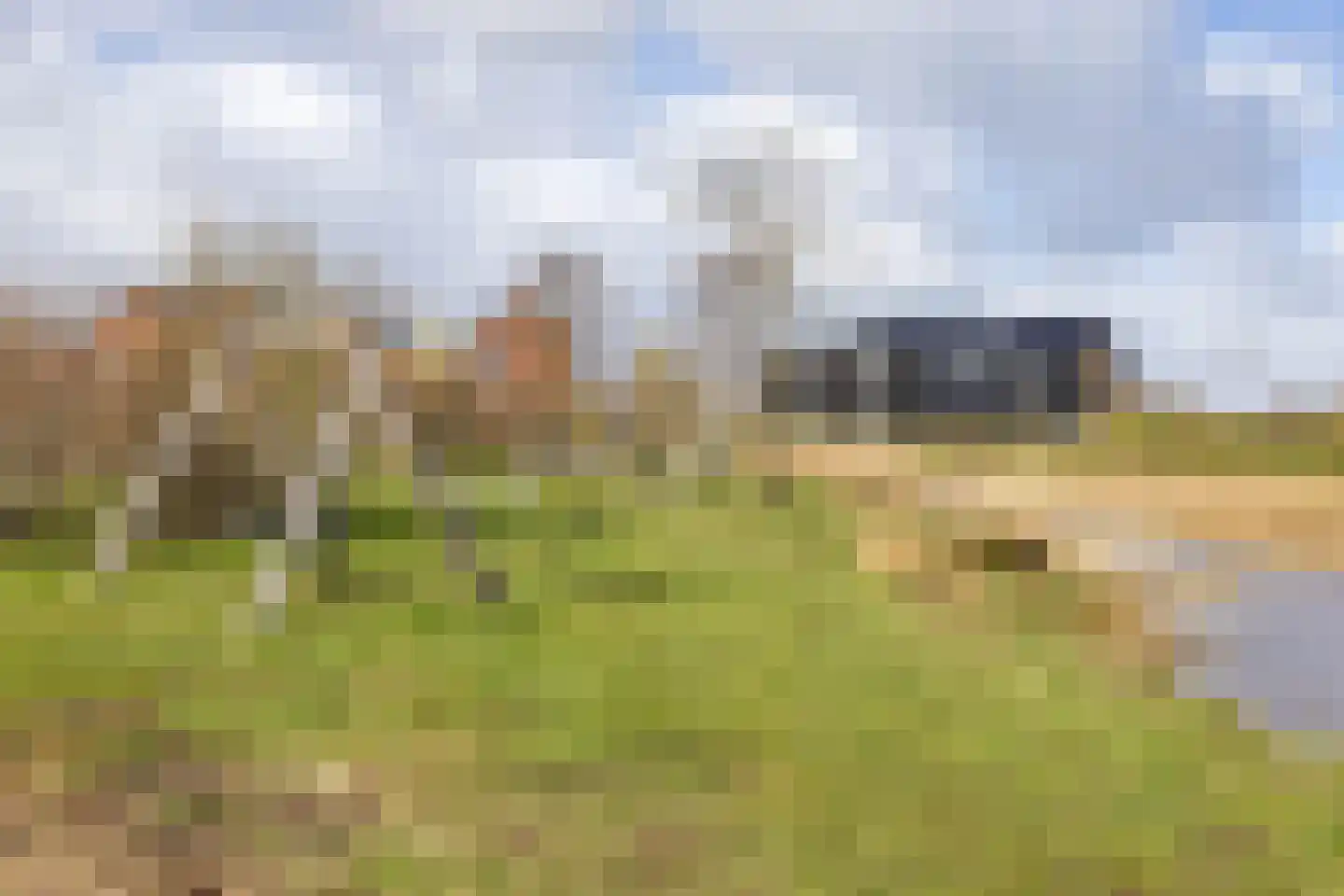Ringdijk 19 Meerstad thumbnail 60
