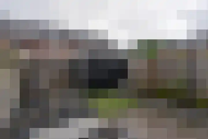 Ringdijk 23 Bemmel thumbnail 23