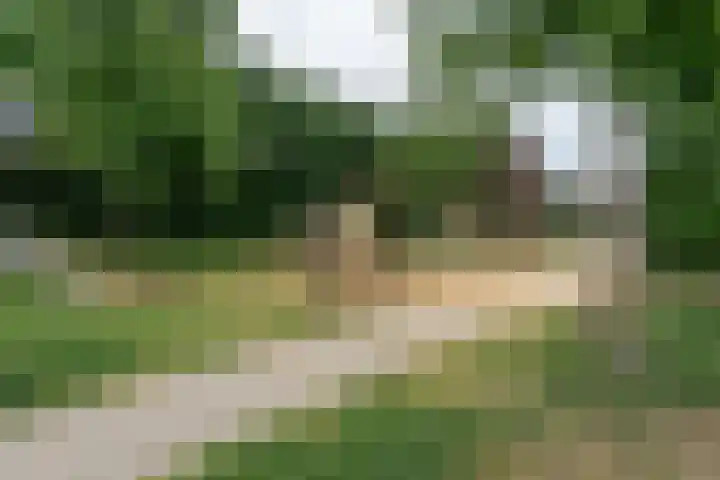 Ringdijk 23 Bemmel thumbnail 27