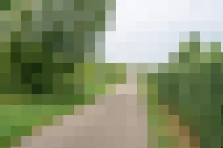 Ringdijk 23 Bemmel thumbnail 29