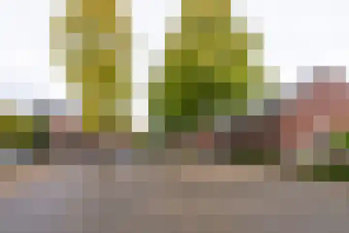 Ringdijk 23 Bemmel foto 3