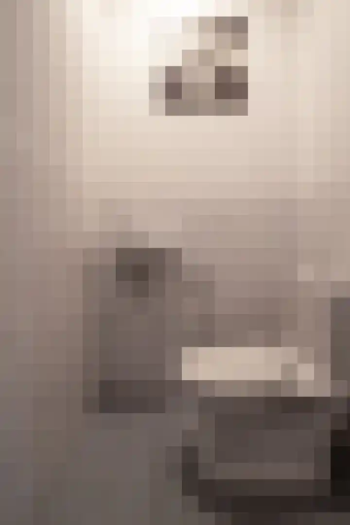 Ringdijk 23 Bemmel thumbnail 6