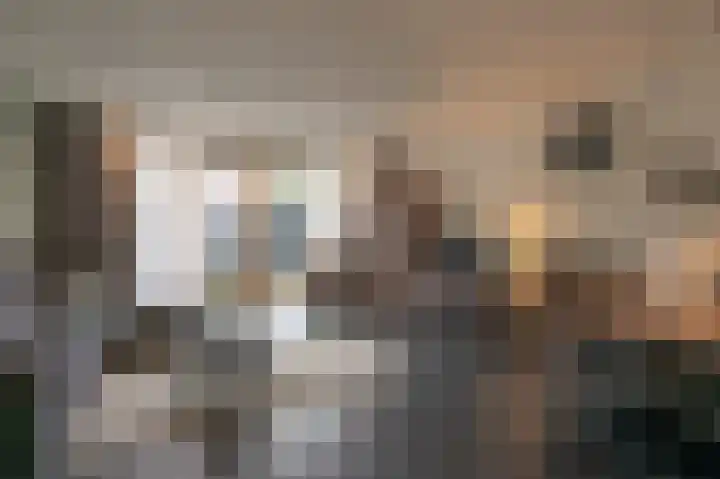 Ringdijk 23 Bemmel thumbnail 7