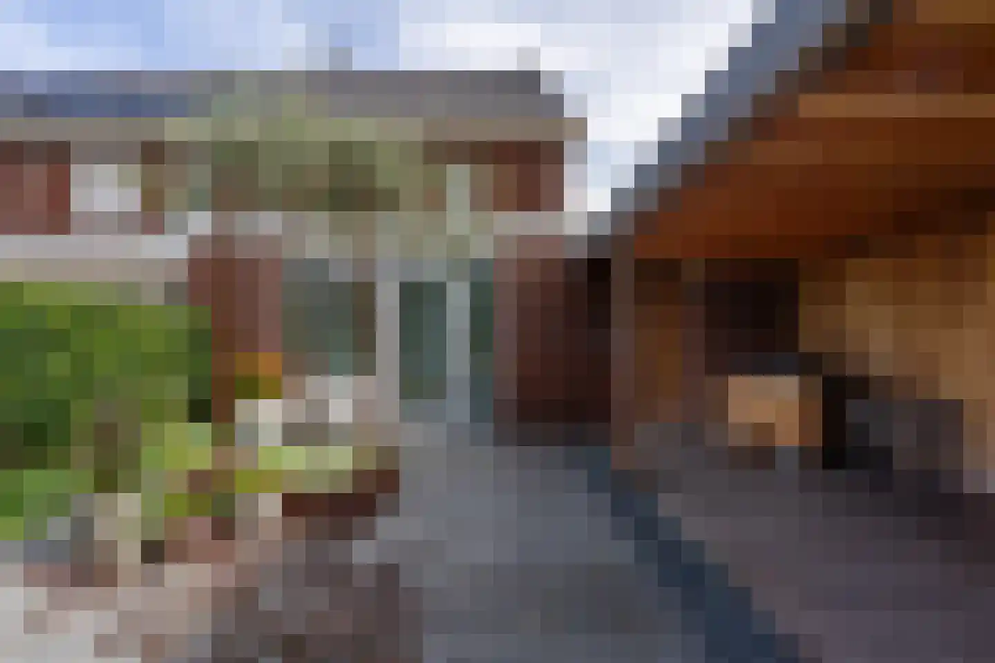 Ringdijk 24 Bemmel thumbnail 38