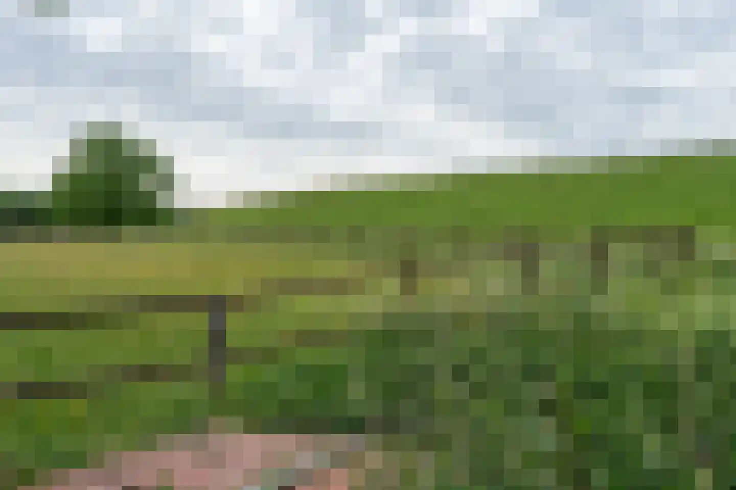 Ringdijk 25 Bemmel thumbnail 33