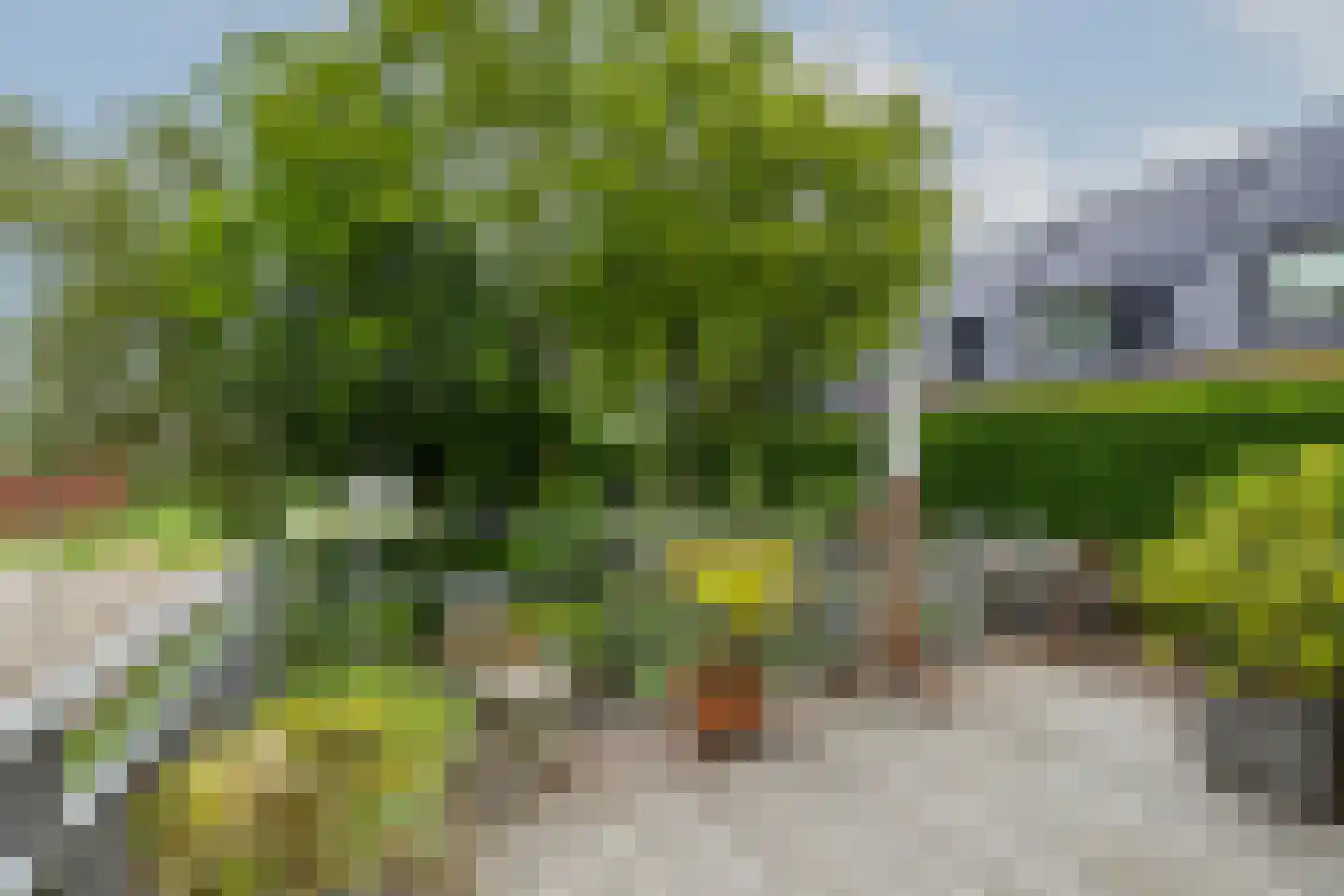 Ringdijk 27 a Ridderkerk thumbnail 39