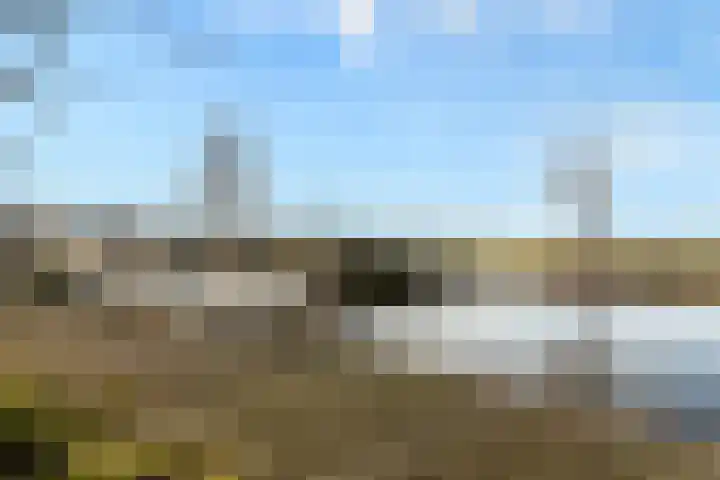 Ringdijk 27 Ter Aar thumbnail 15