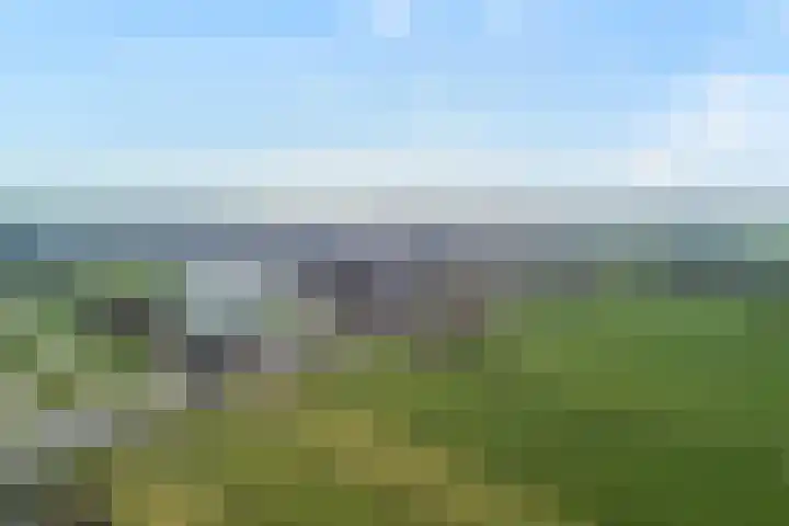 Ringdijk 27 Ter Aar thumbnail 55