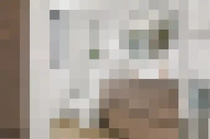 Ringdijk 350 Lelystad thumbnail 17