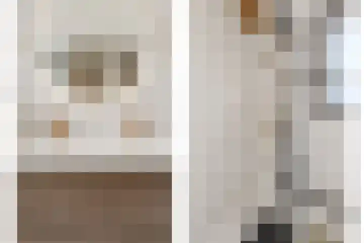 Ringdijk 350 Lelystad thumbnail 18