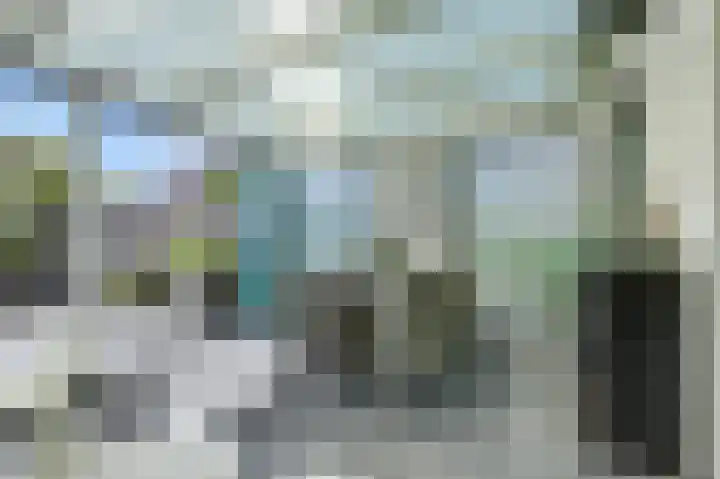 Ringdijk 350 Lelystad foto 2