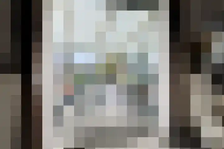 Ringdijk 350 Lelystad thumbnail 22