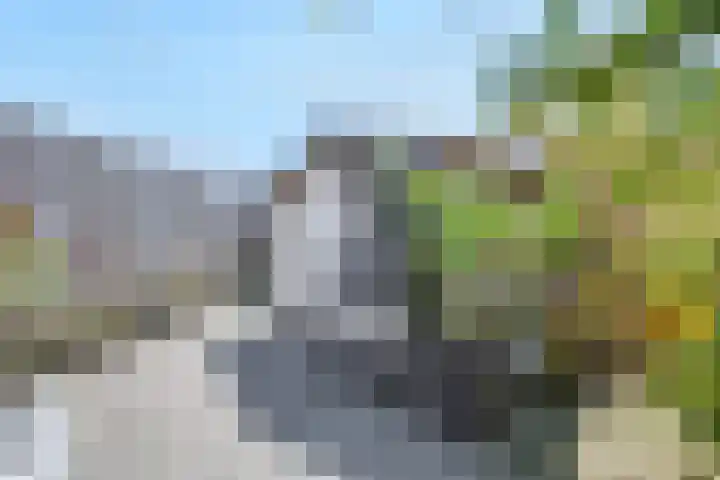 Ringdijk 350 Lelystad thumbnail 26