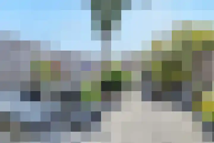 Ringdijk 350 Lelystad thumbnail 4