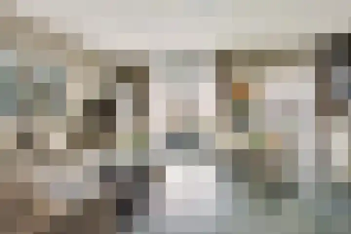 Ringdijk 350 Lelystad thumbnail 6