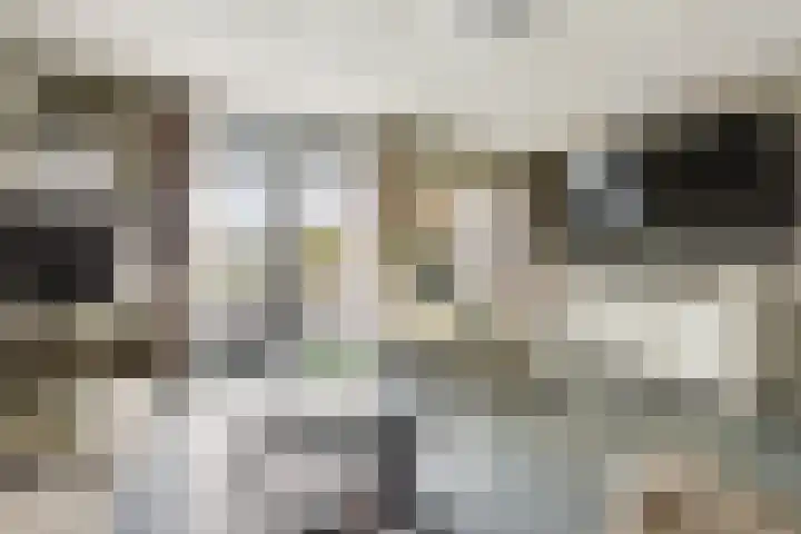 Ringdijk 350 Lelystad thumbnail 7