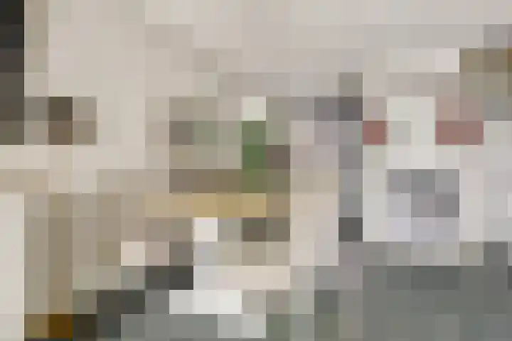 Ringdijk 350 Lelystad thumbnail 8