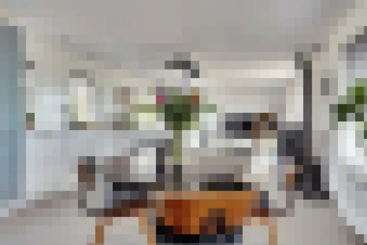 Ringdijk 36 AR Wijdewormer thumbnail 20