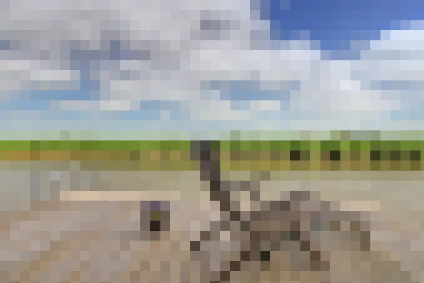 Ringdijk 36 AR Wijdewormer thumbnail 38