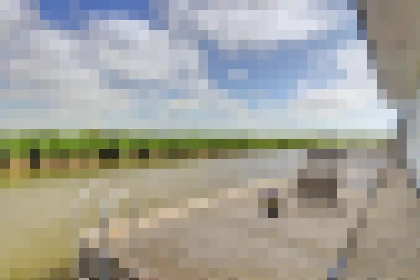 Ringdijk 36 AR Wijdewormer thumbnail 39