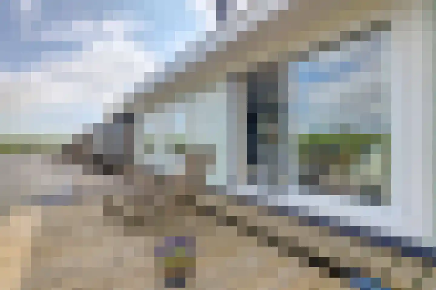 Ringdijk 36 AR Wijdewormer thumbnail 41