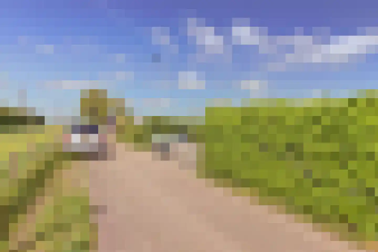 Ringdijk 36 AR Wijdewormer thumbnail 44