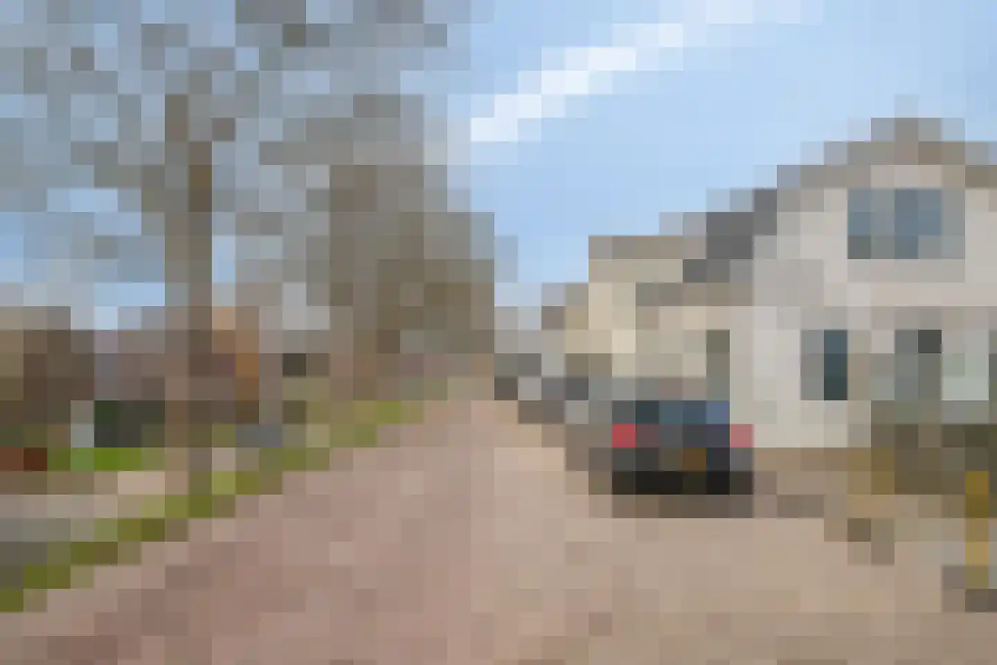 Ringdijk 38 a Ridderkerk thumbnail 38