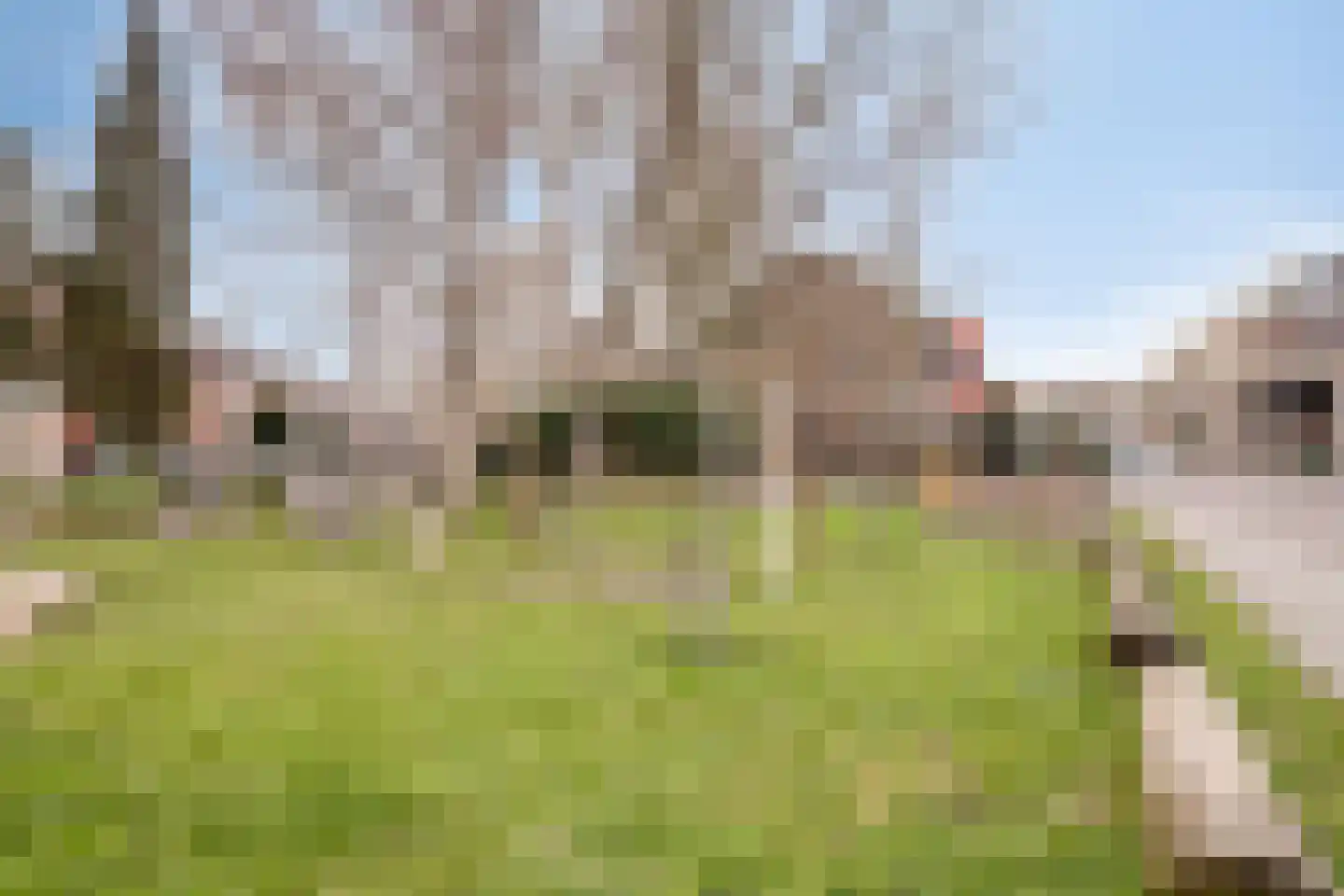Ringdijk 38 a Ridderkerk thumbnail 41