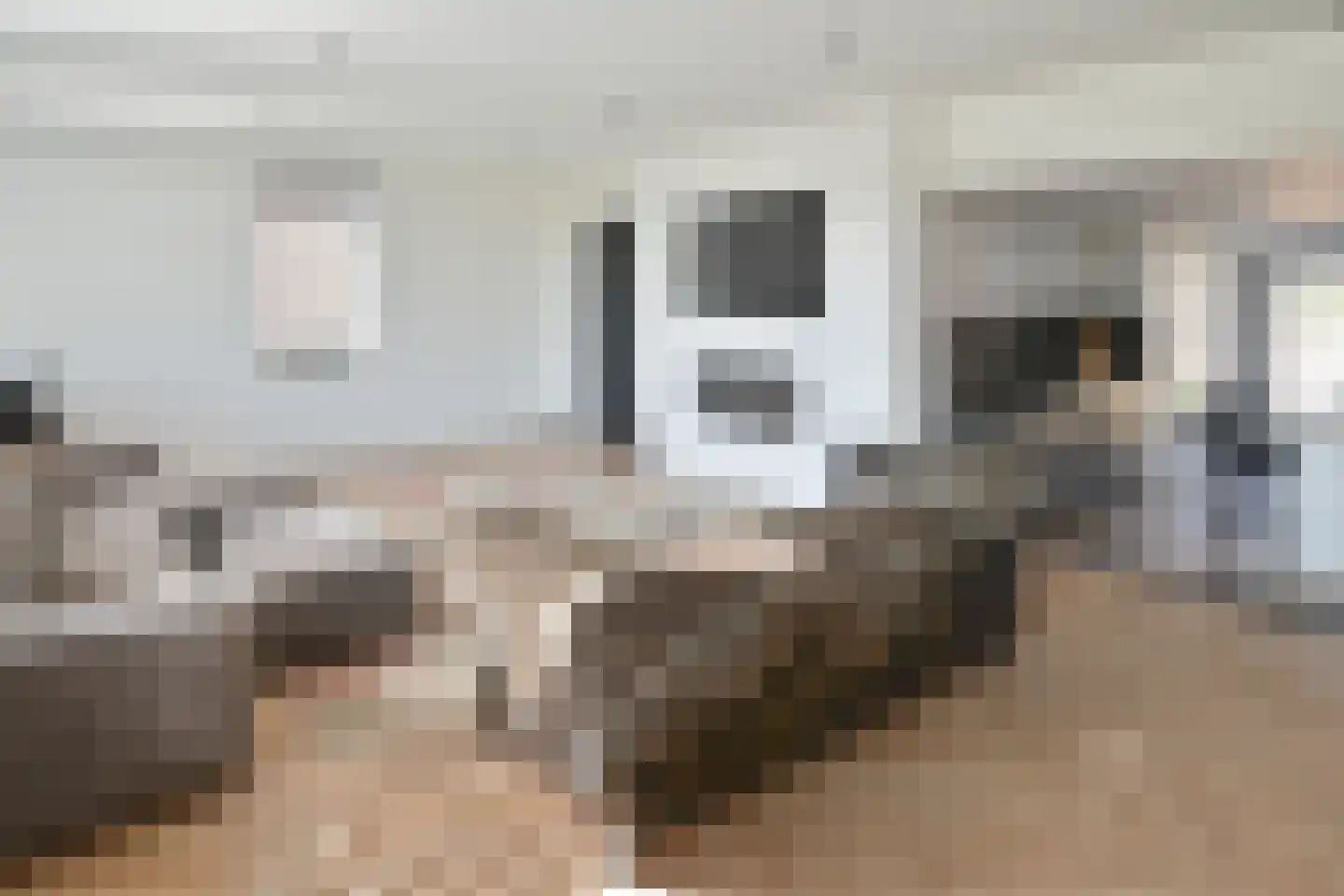 Ringdijk 4 De Kwakel thumbnail 10