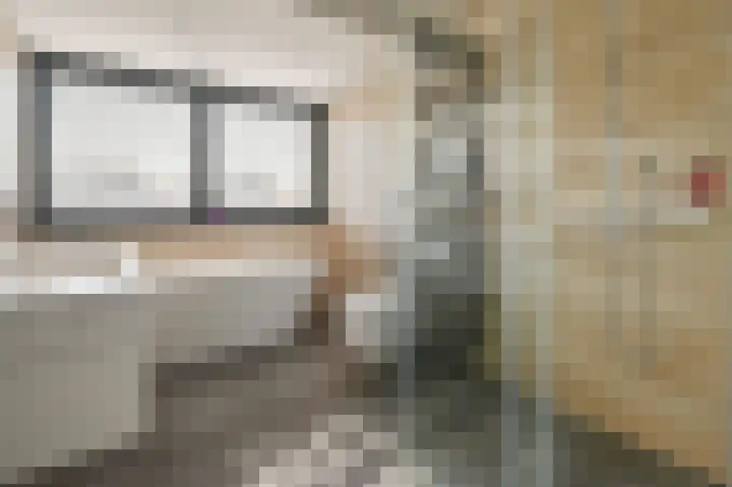 Ringdijk 4 De Kwakel thumbnail 16