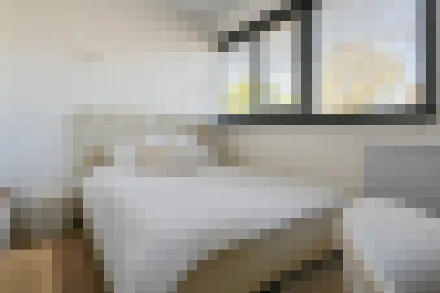 Ringdijk 4 De Kwakel thumbnail 19